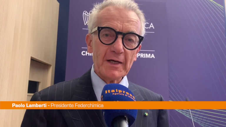Galleria foto 'Lamberti (Federchimica) “Previsto un calo del 4% della produzione”' - foto 1