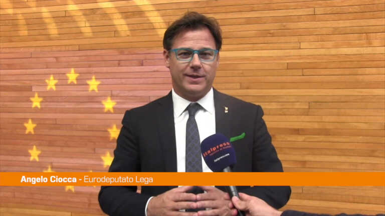 Galleria foto 'Lavoro, Ciocca “L’Europa si concentri sulle vere emergenze”' - foto 1