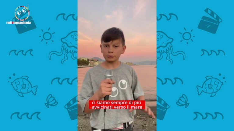 Galleria foto 'Le tartarughe ripopolano le spiagge ma per gli uccelli fa troppo caldo' - foto 1