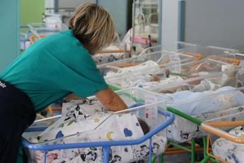 Galleria foto 'Massa, baby boom all’ospedale Apuane: in 36 ore nati 21 bimbi' - foto 1