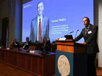 Galleria foto 'Nobel Medicina 2022 a Pääbo per scoperte sui genomi degli ominidi' - foto 1
