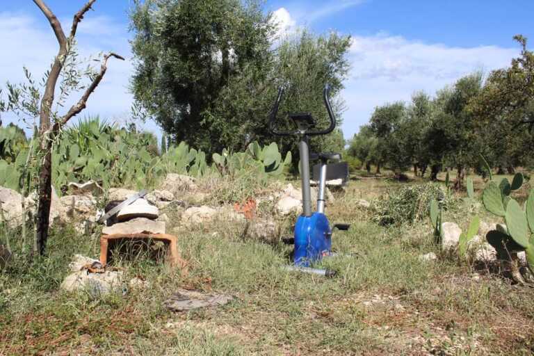Il sogno rubato di una palestra per anziani a cielo aperto