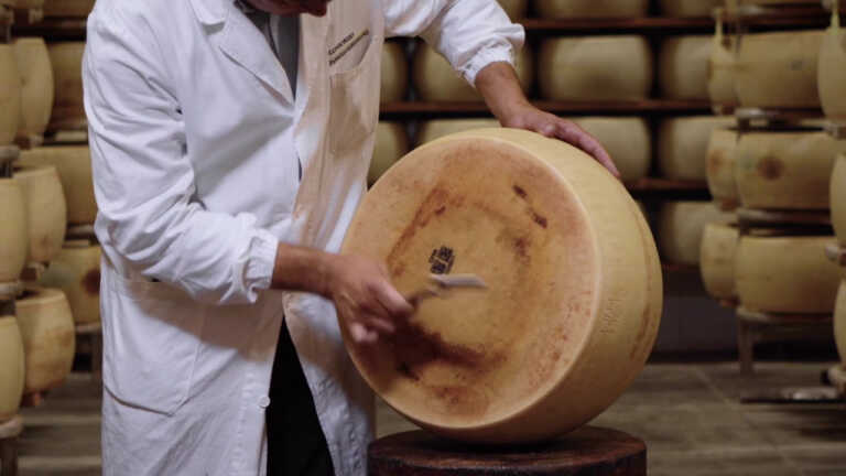 Galleria foto 'Parmigiano Reggiano, vendite in crescita nei primi 9 mesi del 2022' - foto 1