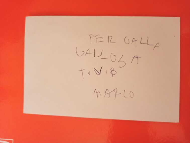 Galleria foto 'L’amicizia tra Marco e Galla Gallosa: tutti i suoi risparmi per farla mangiare' - foto 1