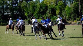 Galleria foto 'Polo, lo scudetto all’UnoAerre Acquedotto Romano Polo Club' - foto 1