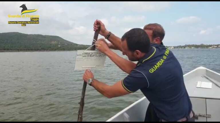 Galleria foto 'Itticoltura nel lago di Varano: sequestrati oltre 40 impianti abusivi – VIDEO' - foto 1
