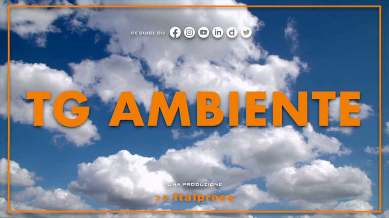 Galleria foto 'Tg Ambiente – 2/10/2022' - foto 1