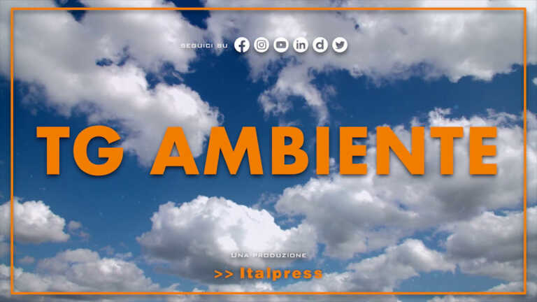 Galleria foto 'Tg Ambiente – 30/10/2022' - foto 1