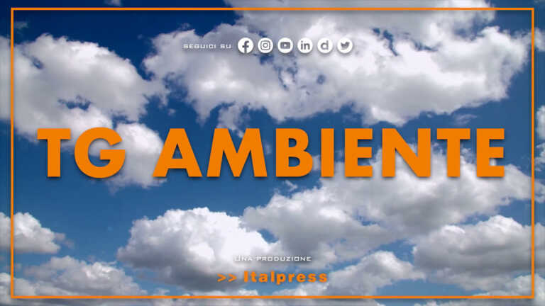 Galleria foto 'Tg Ambiente – 9/10/2022' - foto 1