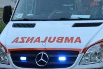 Galleria foto 'Udine, auto contro un albero: morto 28enne' - foto 1