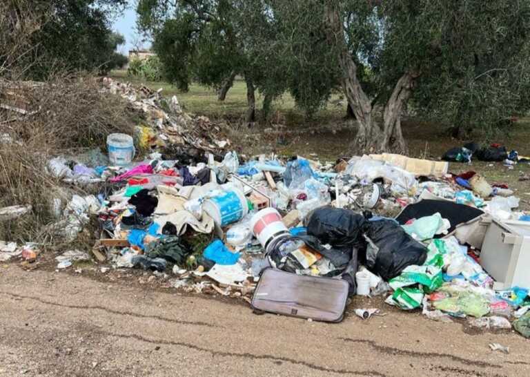 Oliveti bitontini trasformati in discariche, Sicolo (Cia): «A rischio bellezza e sicurezza» – FOTO