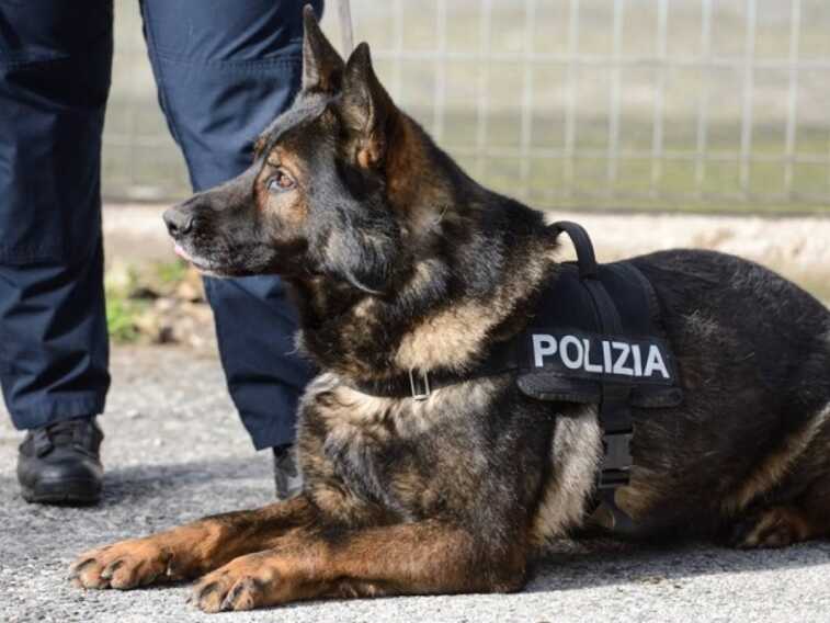 Droga nascosta in una scopa elettrica: arrestati zia e nipote a Taranto