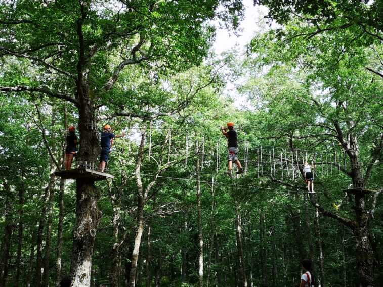 Il bob arriva in foresta: a partire dal 2025 una nuova attrazione nel bosco di Biccari, sui Monti Dauni