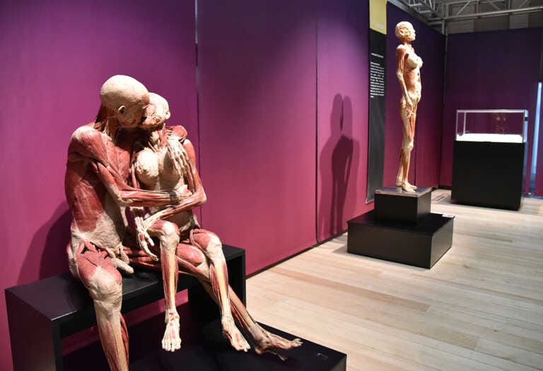 “Real bodies experience”: a Bari un «faccia a faccia mozzafiato con il corpo umano» – FOTO e VIDEO
