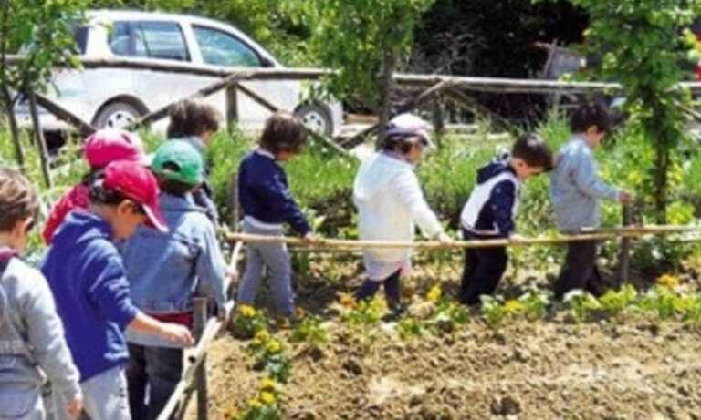 Puglia, via libera alla proposta di legge per la nascita di agriasilo e agrinido