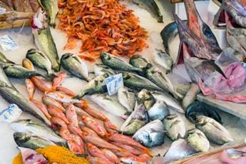 Galleria foto 'Antibiotici nel cibo, Bassetti: “Uso spropositato in carne e pesce”' - foto 1