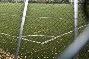 Galleria foto 'Arezzo, malore durante allenamento: muore calciatore 16enne' - foto 1