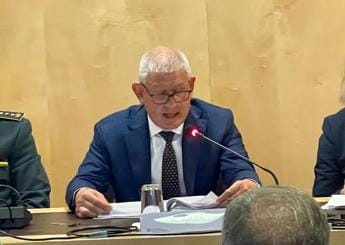 Galleria foto 'Arzà: “Decarbonizzare non vuol dire elettrificare tutto”' - foto 1