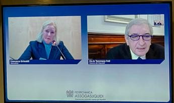 Galleria foto 'Auto, Foti (Fi): “Trasporto elettrico 2035 miraggio non alla nostra portata”' - foto 1
