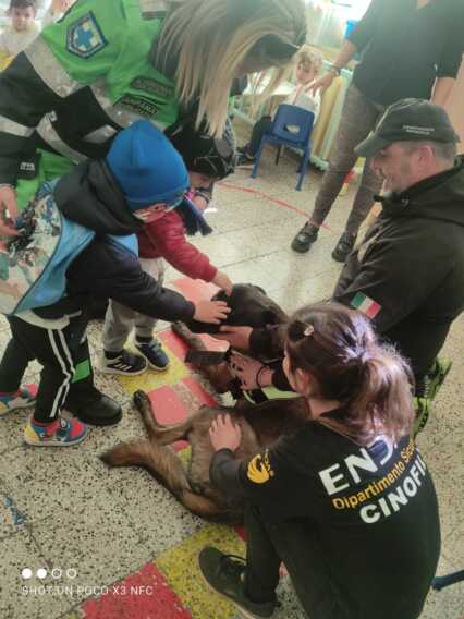 Matera, a scuola di rispetto con dei cani speciali