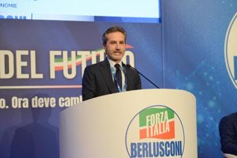 Galleria foto 'Forza Italia, Caldoro verso l’addio: rapporto “ormai irreparabile”' - foto 1