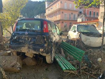 Galleria foto 'Frana Ischia, Pichetto: “Basterebbe mettere in galera sindaco e chi lascia fare”' - foto 1
