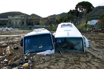 Galleria foto 'Frana Ischia, si scava a mani nude alla ricerca dei dispersi' - foto 1