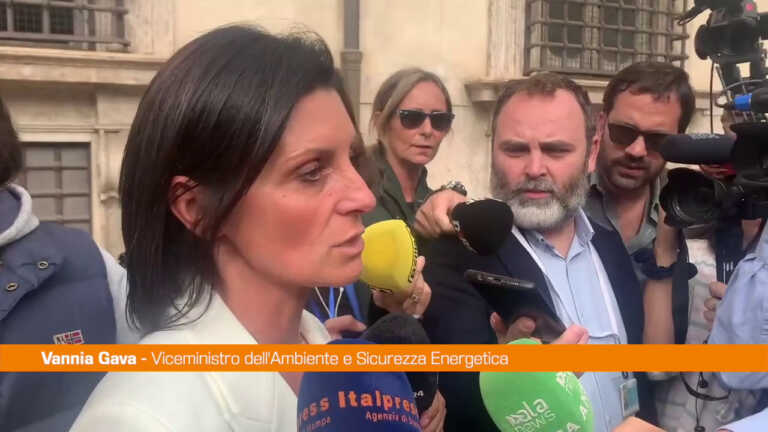 Galleria foto 'Gava “Garantire la sicurezza energetica per il Paese”' - foto 1