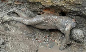 Galleria foto 'I 24 bronzi di San Casciano scoperti nelle terme di Etruschi e Romani' - foto 1