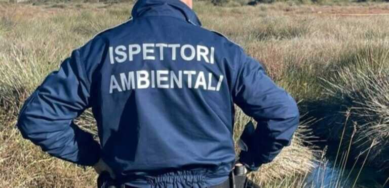 Galleria foto 'Taranto, sospetta truffa nel concorso per ispettori ambientali: sospeso' - foto 1
