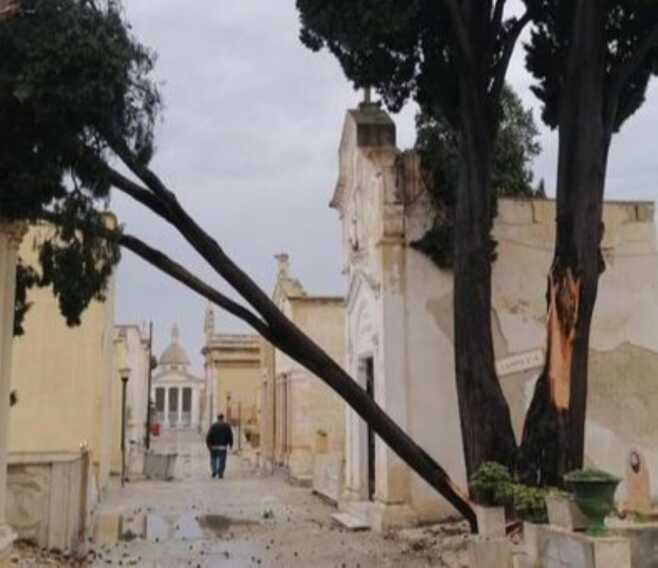 Maltempo a Brindisi: danni anche al cimitero per la caduta di alberi