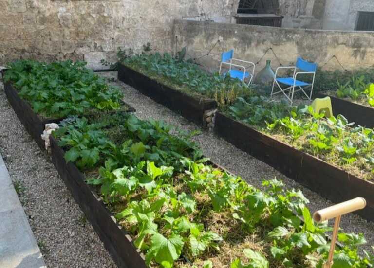 Andria, nel cuore del centro storico l’orto sociale trova casa