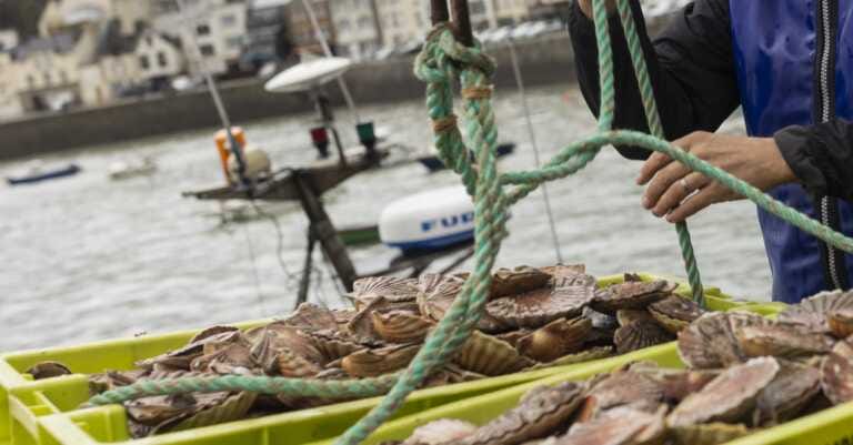 Truffa con i fondi europei per la pesca: chiesto il processo per sei imprenditori a Trani