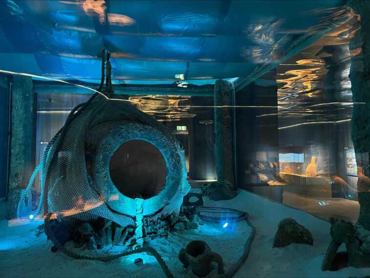 “Egnazia e il mare”: nuova vita ai reperti del mare con la tecnologia