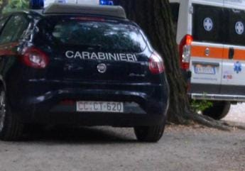 Galleria foto 'Verona, veterinaria muore schiacciata da una mucca' - foto 1