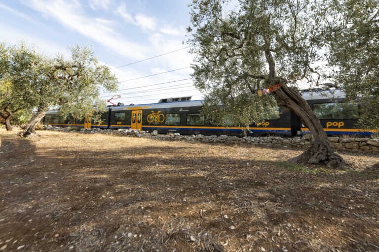 Bari e Lecce più vicine con il Regionale Prime: il nuovo treno collegherà le due città in 85 minuti – VIDEO
