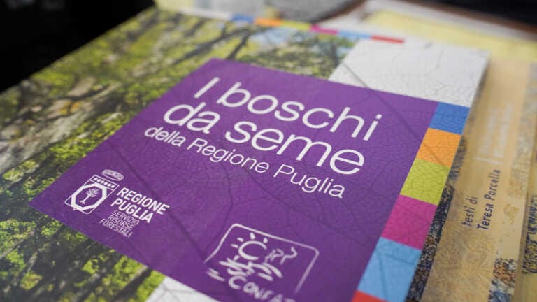 Galleria foto 'Giovani esploratori alla scoperta della biodiversità: premiate le scuole pugliesi – FOTO' - foto 4