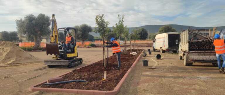 Nuovo ospedale Monopoli-Fasano: piantati gli alberi. Amati: «Cammino ancora lungo ma ci siamo»
