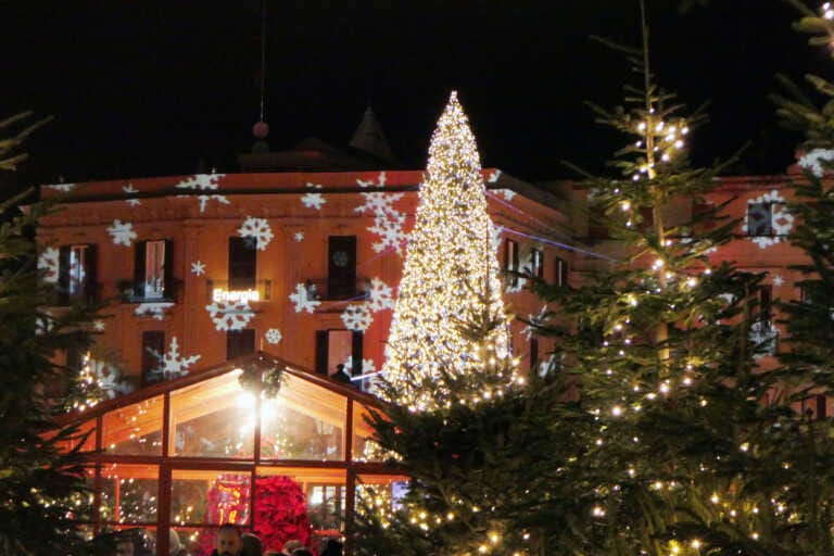 L’albero in città vecchia e il villaggio di Babbo Natale: Bari conquista Instagram con oltre 2mila menzioni
