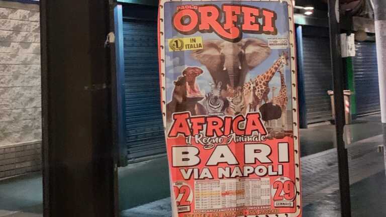 «Basta animali e affissioni abusive»: le associazioni contro i circhi a Bari