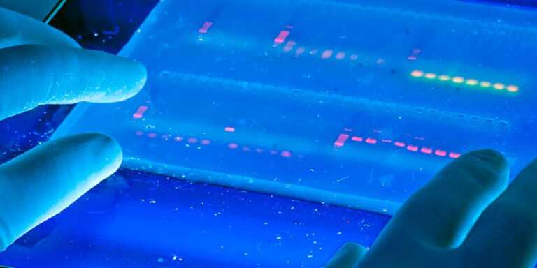 Diagnosi precoce delle malattie rare: la legge regionale pugliese è costituzionale