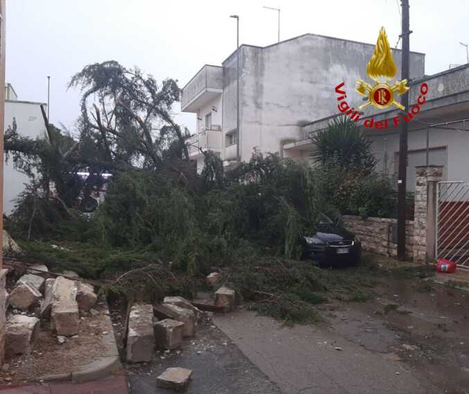 Maltempo, tromba d’aria in Salento: danni e disagi a Lecce e in provincia Maltempo, tromba d’aria in Salento: danni e disagi a Lecce e in provincia