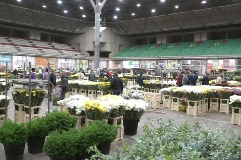 Terlizzi, furto al mercato dei fiori: assalto a due box e al bar