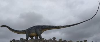 Nuova scoperta sui dinosauri, le loro code armi ma non si muovevano a velocità supersonica