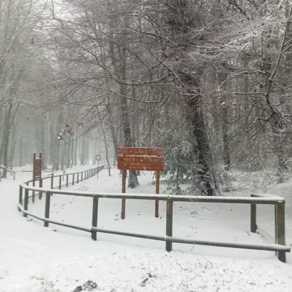 Galleria foto 'In capitanata arriva la neve e la Protezione civile invita a evitare gli spostamenti' - foto 1