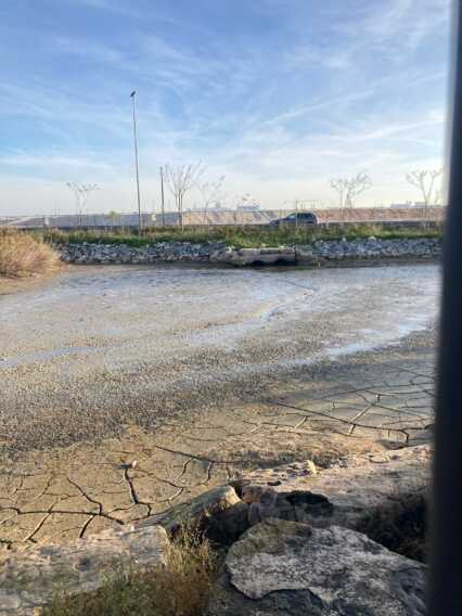 Bari, non piove da settimane: si prosciuga il laghetto dell’Ansa di Marisabella