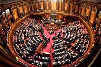 Galleria foto 'Aborto, ddl ‘pro-life’ di Fdi: “Soggettività giuridica inizia dal concepimento”' - foto 1