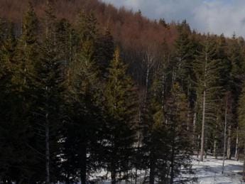 Abruzzo senza neve, crollo prenotazioni a Natale: allarme degli albergatori