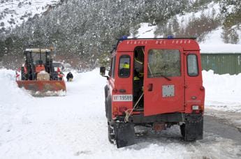 Galleria foto 'Arezzo, allevatrice di cani trovata morta nella neve' - foto 1
