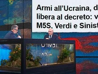 Galleria foto 'Armi a Ucraina, Crosetto: “Nuovo decreto, missili per difesa aerea”' - foto 1